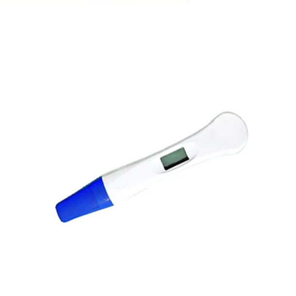 
One Step Electronic Pregnancy Test 