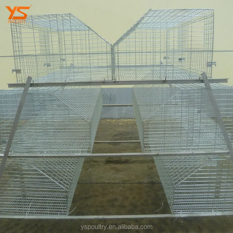 
Top Sale A Type Battery Broiler Cage for Chicken 