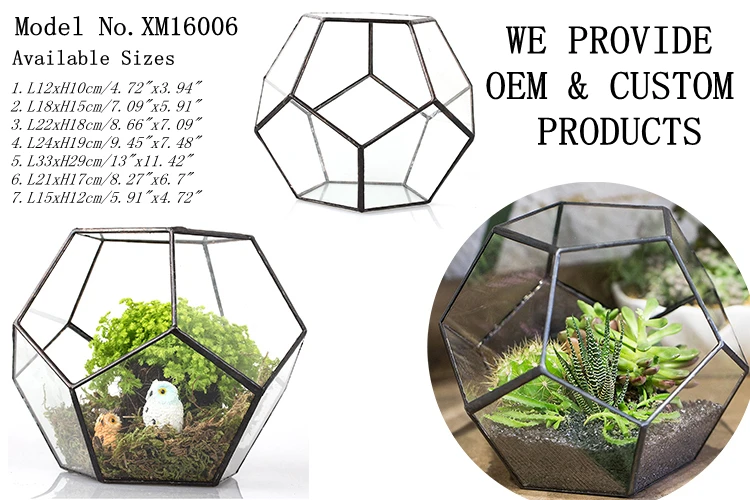 Tabletop Planters Pot Black Pentagon Geometric Glass Terrarium Globe Container