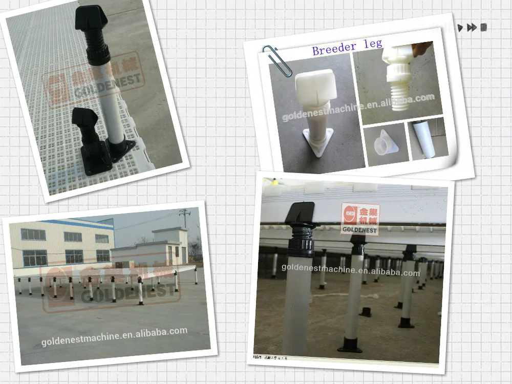 ^Plastic slat poultry chicken plastic floor/flooring for farming equipment