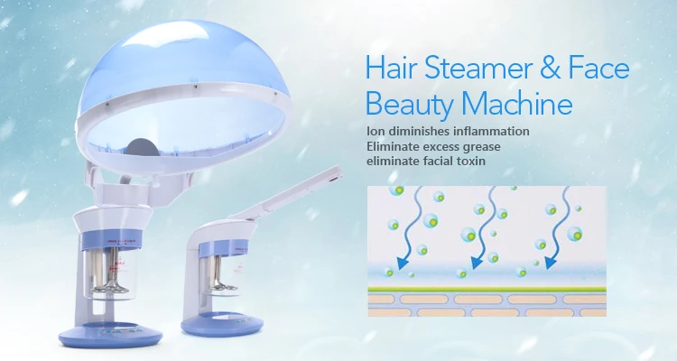 Hair Steamer & Face Beauty Machine (PW027) (1)