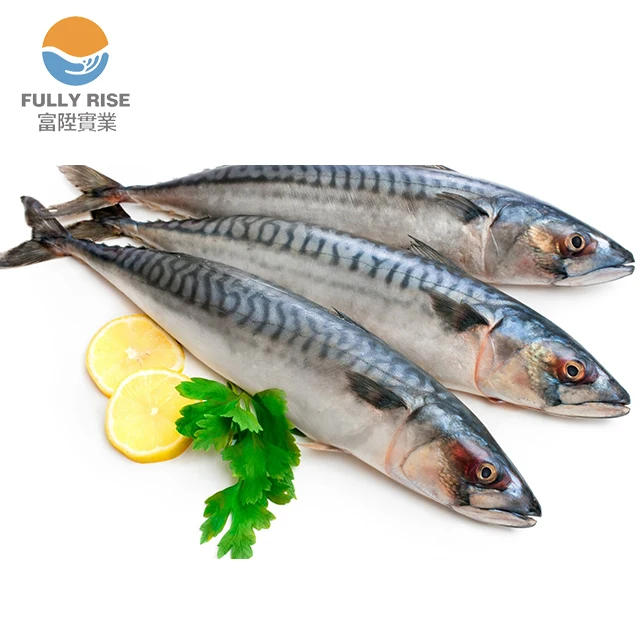 
Good Quality Frozen Pacific Mackerel fish with market price frozen seafood  (60712147406)