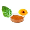 The latest edible plant extract high quality zeaxanthin extract powder zeaxanthin powder 40% food grade zeaxanthin powder