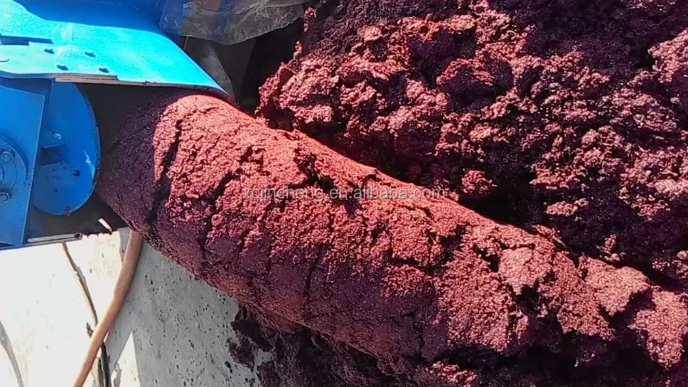 grape skin after press.jpg