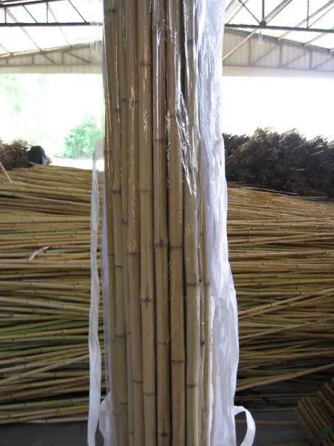 bamboo pole packing.JPG