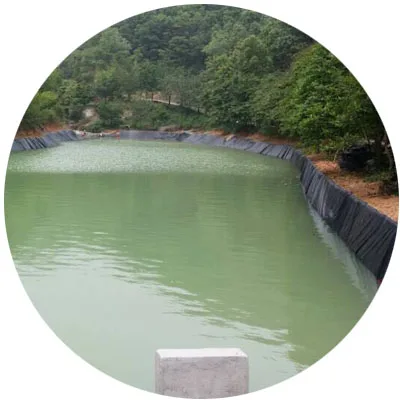 Gardens.jpg