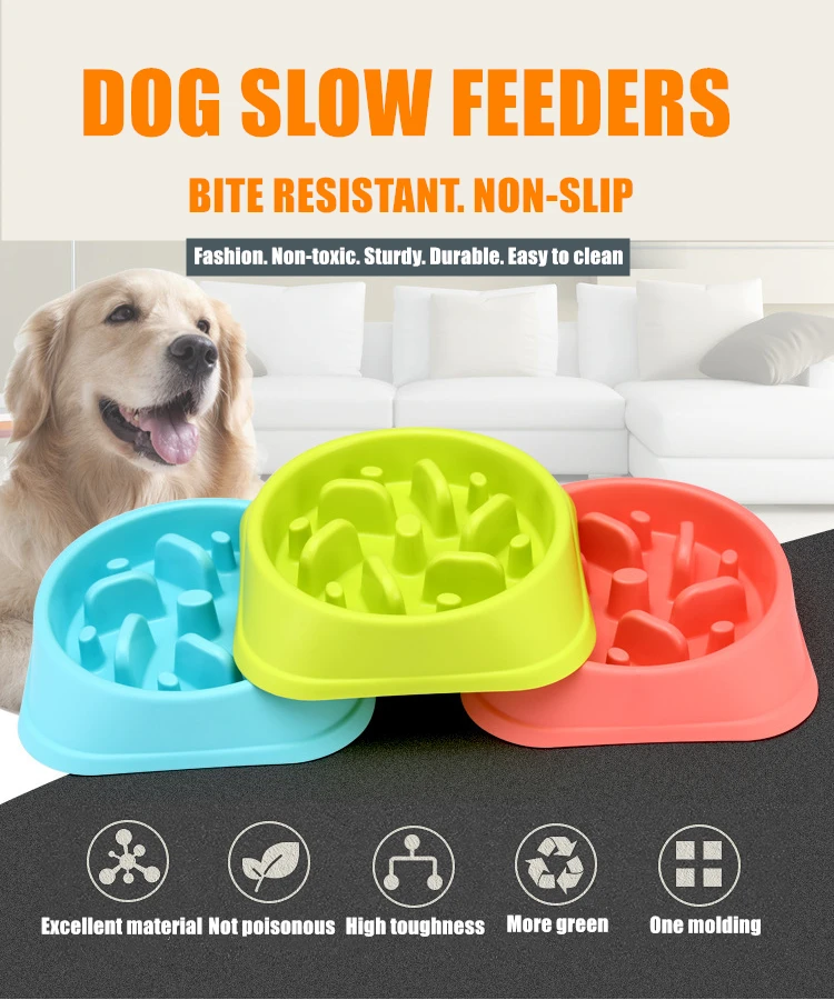 Slow Feeder Dog Bowl Slow Eating Dog Bowl Interactive Feeder Pet
