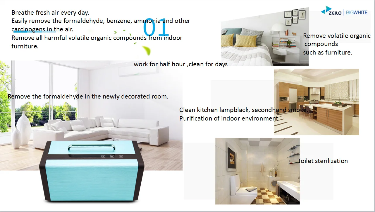 Timed Profiles Medical Grade Ozone Generator Machine Ozone Therapy