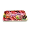 2018 China biodegradable dinnerware clear plastic easter tray
