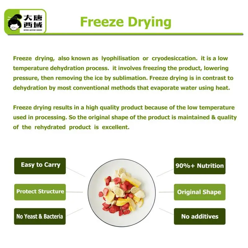 Snack chips dry fruit  freeze dried fruits freeze drying strawberry