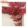 indoor tree plants photos dark pink cherry flower tree for wedding door