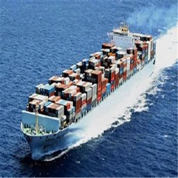 Frozen Food Shipping Boxes From Shanghai To Kolkata By Sea ...