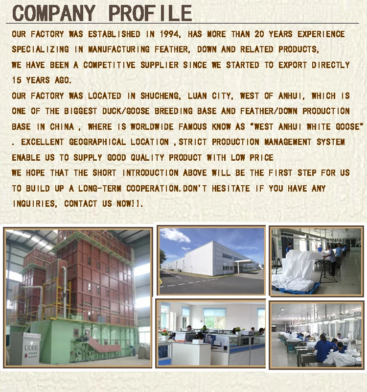 Company profile 