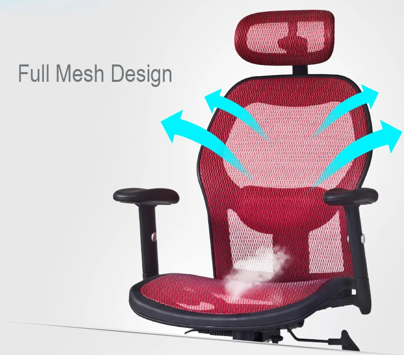 3mm Thick Stainless Steel Anti-explosion Sihoo Mechanism Mesh Luxury Office  Chair - Buy Di Lusso Sedia Da Ufficio Product on 