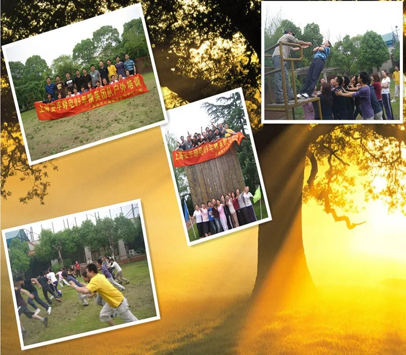 DC ionizer air blower