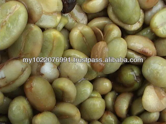 sumatra mandheling arabica