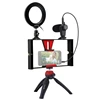 Factory PULUZ 4 in 1 Tripod Mount Vlogging Live Broadcast Smartphone Video Rig Ring LED Selfie Light Kits with Microphone