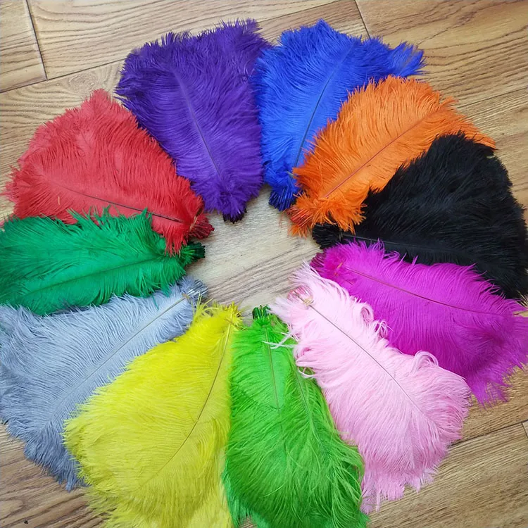 2530cm White South Africa Ostrich Feathers Buy Different Colours