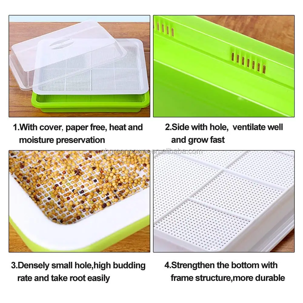 Bpa Free Soil-free Wheat Grass Grower Bean Seed Sprouter Tray With Lid ...