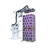 Automatic Robotic Palletizer for Cases Stacking Carton packing line