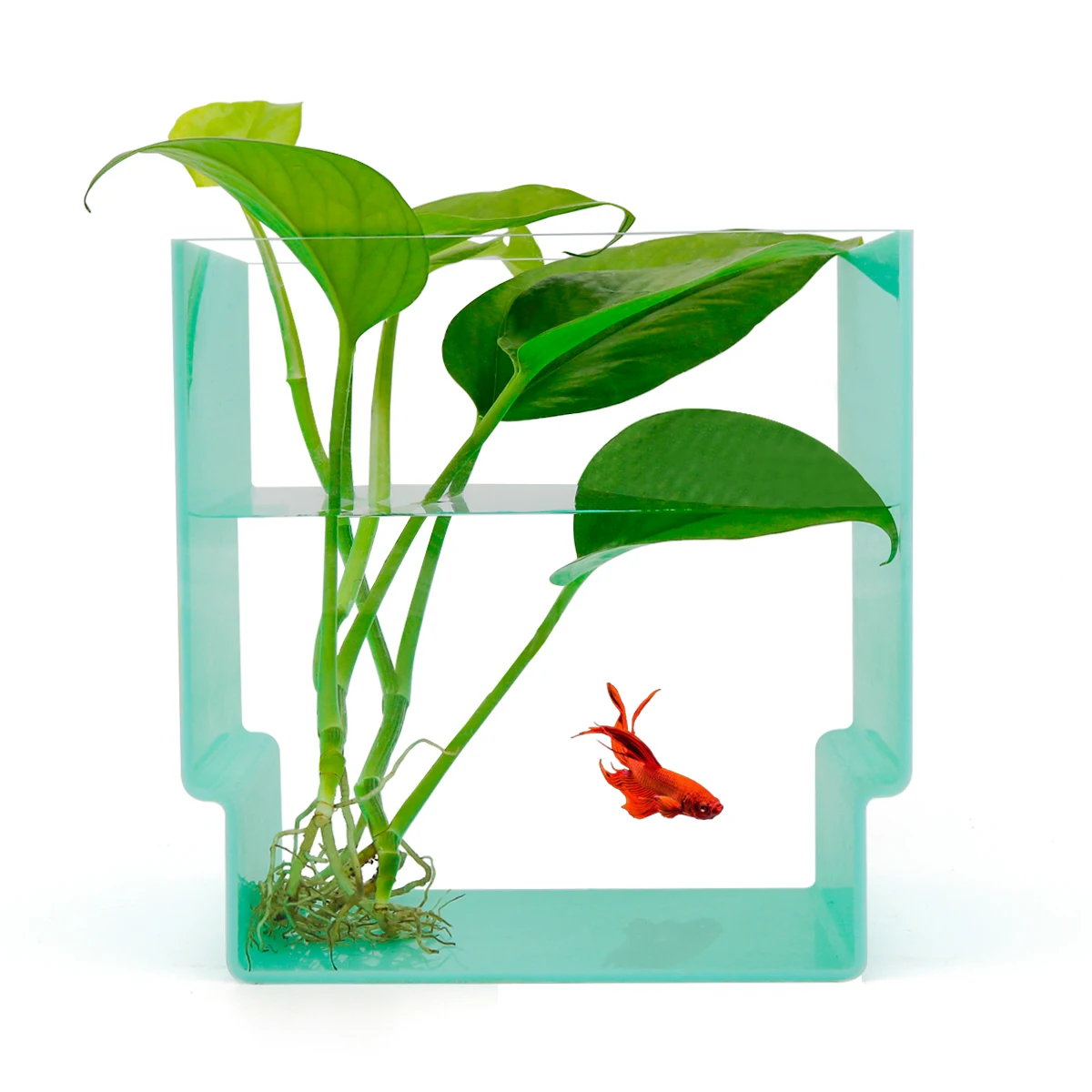 Custom Acrylic Fish Tank Decorations/aquarium Fish Tank