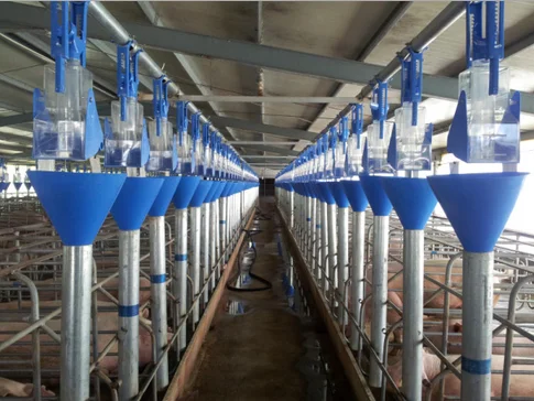 Piggery Line Customized Fully Automatic Pig Sow Auger Feeding Line Hog Farm Piggery ...