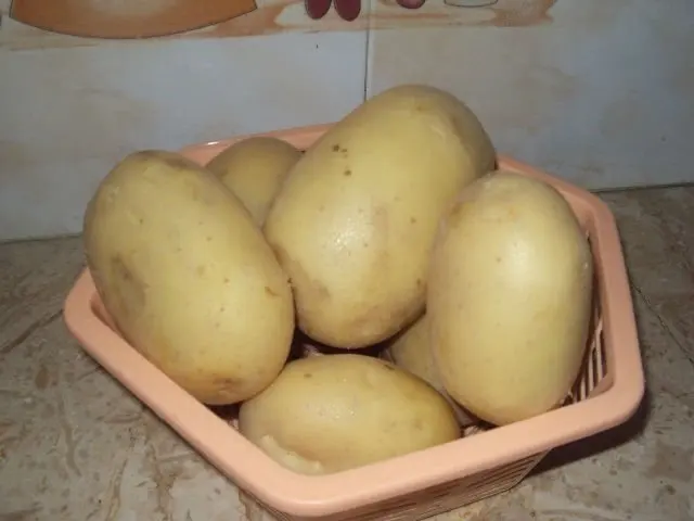 Yellow Potato 22 - Copy