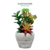 /product-detail/best-selling-decoration-mini-artificial-succulent-plants-with-gary-pots-for-furniture-decoration-60811682845.html
