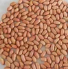 New crop peanuts in shell