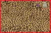 leopard grain printing baby cartoon cotton twill leopard print cotton fabric