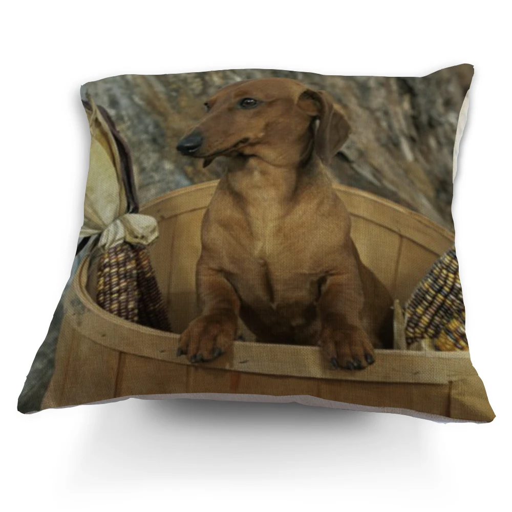 Zippered Cute Throw Pillows Cheap Custom Outdoor Cushion Covers