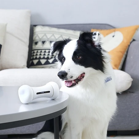 

China pet product supplier luxury and innovative pet accessories wholesale china