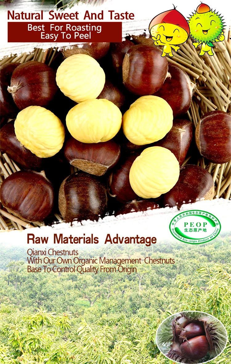 wholesale price hebei qianxi chestnut
