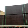 kitchen cabinet boxes only plywood shapes phenolic birch plywood gold plex plywood