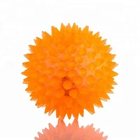 

Led Toy Glow in the Dark Luminous Spiked Spiky Dog Pet Ball for Dog