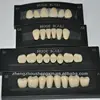 dental teeth/Huge dental Acrylic Teeth KAILI