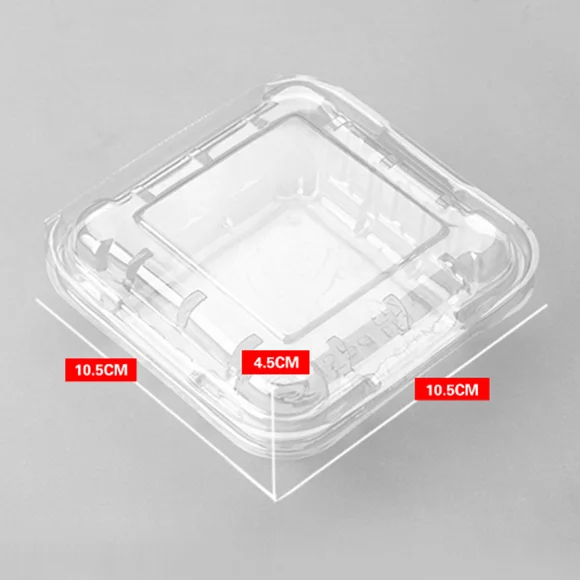 Blueberry Clamshell Packaging.png