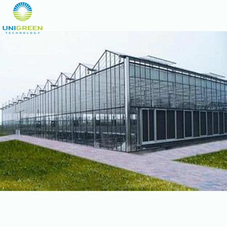 Tinted Float Glass Greenhouse