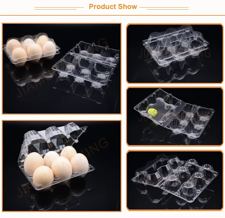 6 holes egg tray.png
