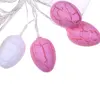 Battery painted eggshell led string light 1.5m 10 led led light string for outdoor 0.5 watt string light