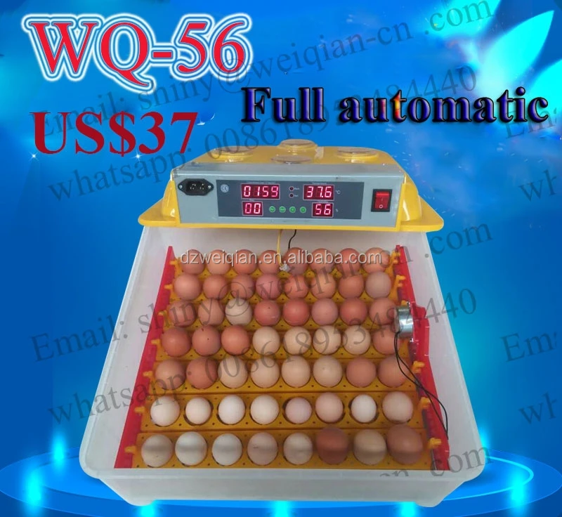 
incubator lahore pakistan, incubator shaker, chicken egg incubator price 