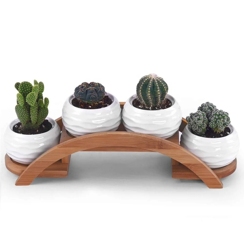 

One Goods Ceramic White Mini Textured Succulent Plant Pot/Cactus Plant Pot with Bamboo Arched Tray
