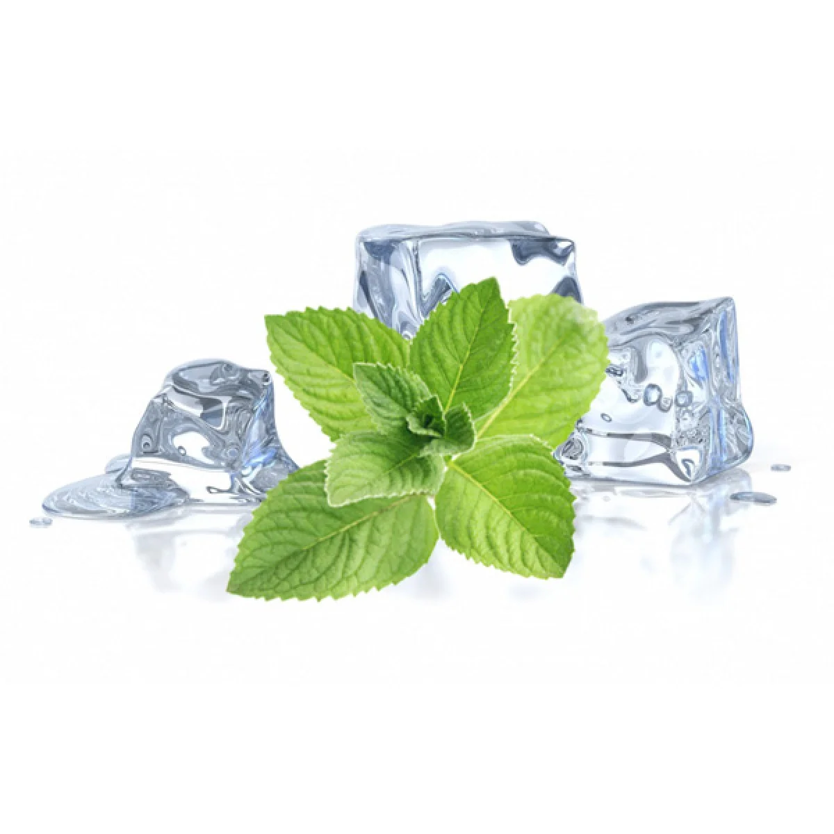 high quality menthol cristal mint leaf extract
