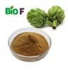 pure artichoke extract/natural artichoke leaf extract/high quality artichoke leaf extract