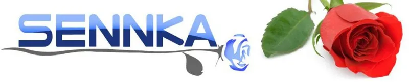 preserved flower (18)