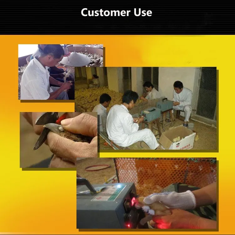 Full automatic chicken mouth cutter machine