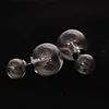 Double Sides Glass Ball Earrings with Dandelion Seed Flower
