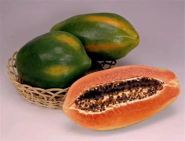 Papaya.jpg