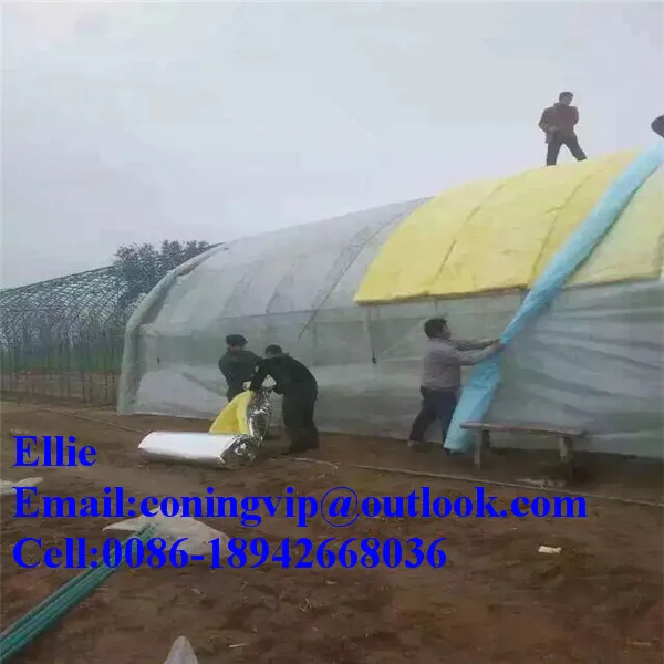 Metal Building Insulation (mbi) Glass Wool Blanket/mbi Con Barrera De