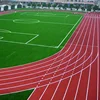 Good price sport center spray coating system breathable running track
